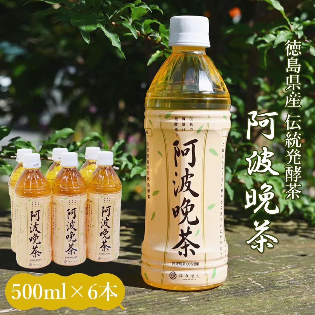 Amazon.co.jp: 阿波晩茶 500ml×6 ペットボトル 伝統樽漬 発酵茶 100